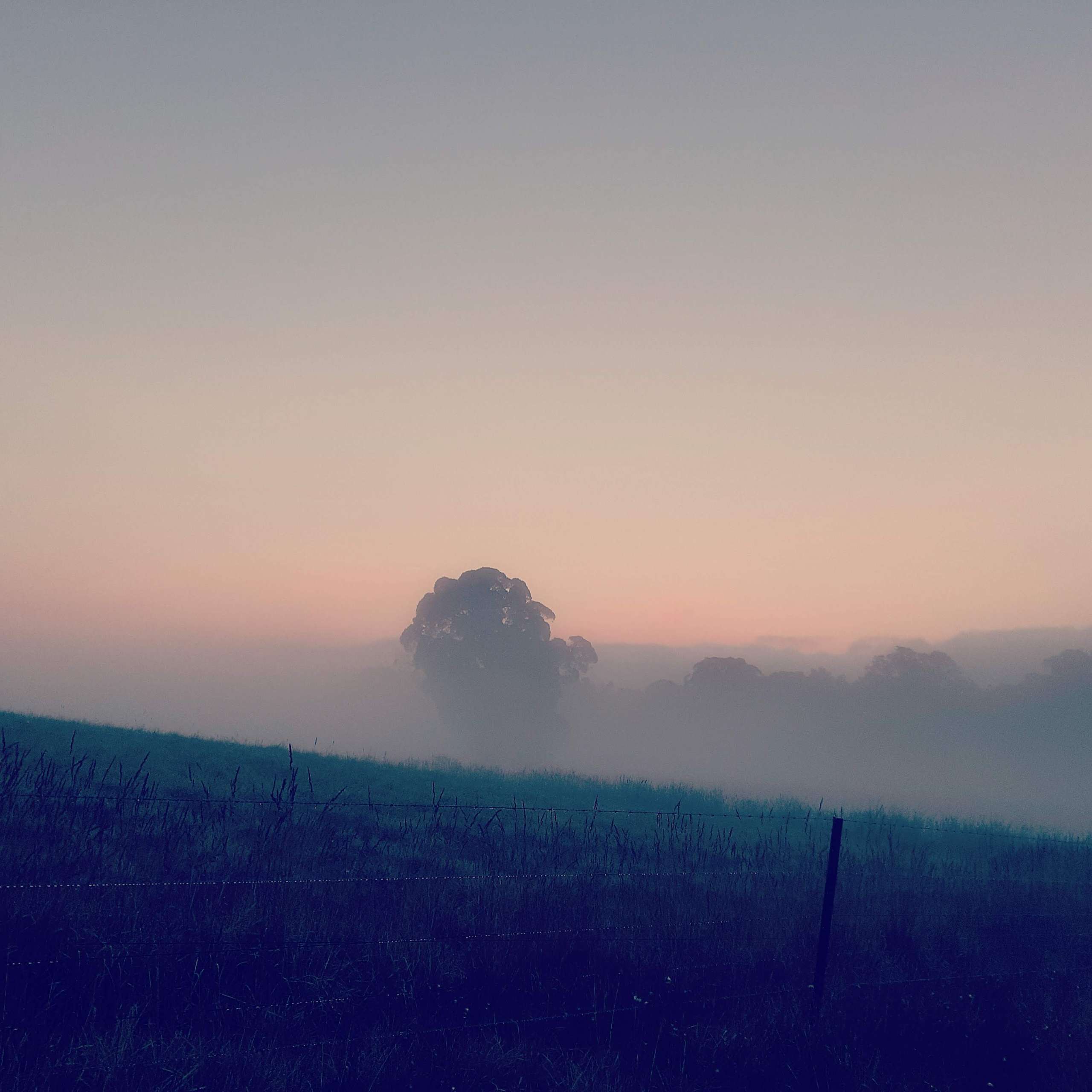 IMG_20200611_081609_958