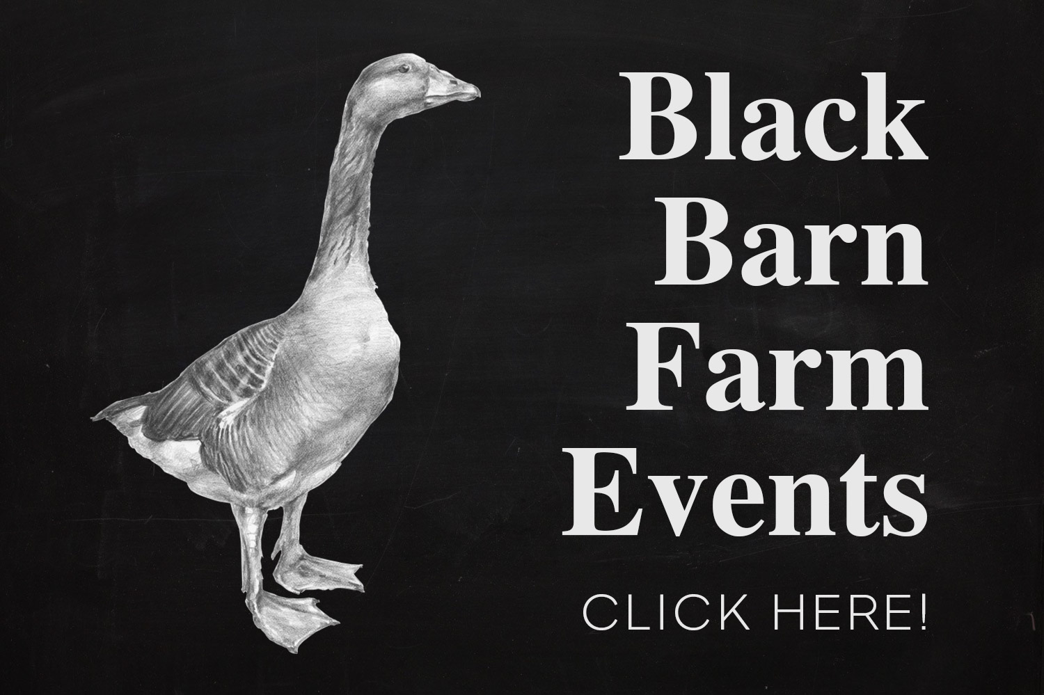 Black Barn Farm Events